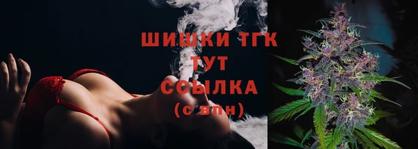 сатива Медногорск