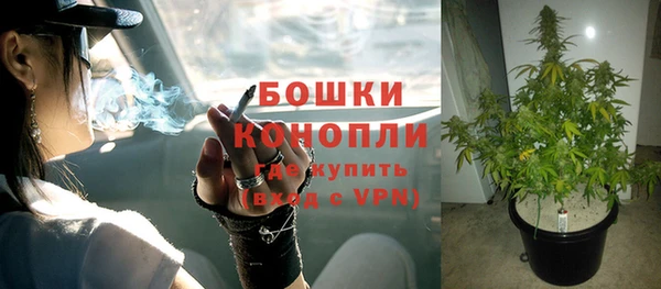 сатива Медногорск