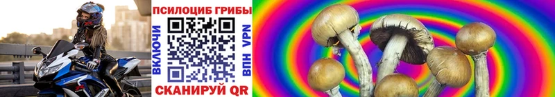 Галлюциногенные грибы GOLDEN TEACHER  Лысьва 