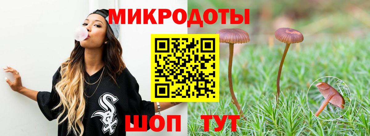 Лысьва  Галлюциногенные грибы Psilocybine cubensis  Вход с VPN 